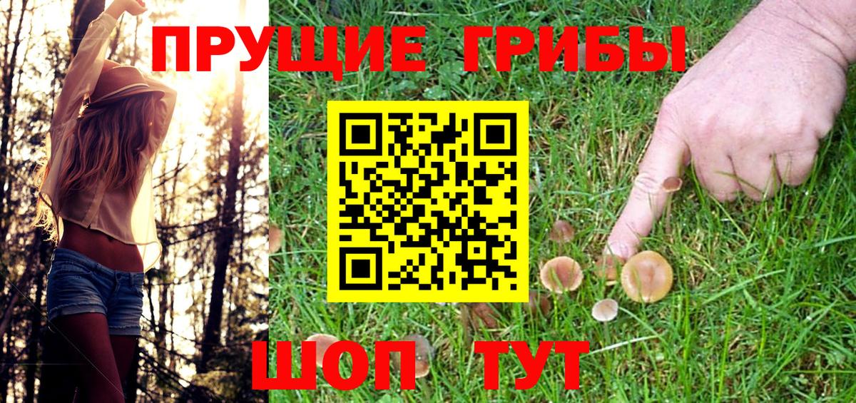 Альметьевск  Псилоцибиновые грибы Psilocybe  Вход с VPN  Галлюциногенные грибы ЛСД 