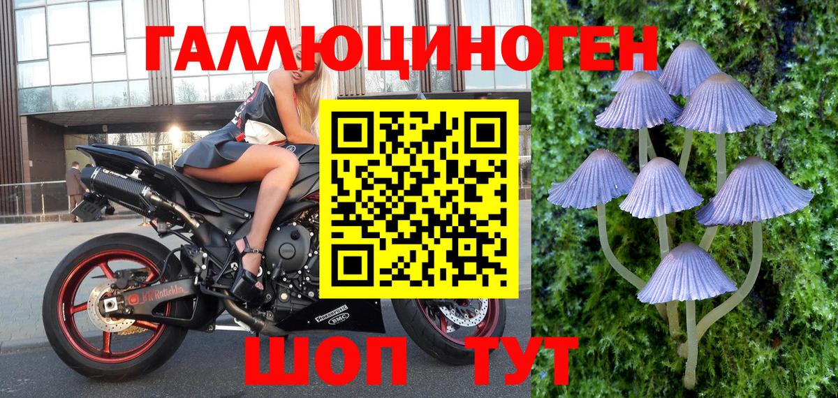 Галлюциногенные грибы GOLDEN TEACHER Альметьевск